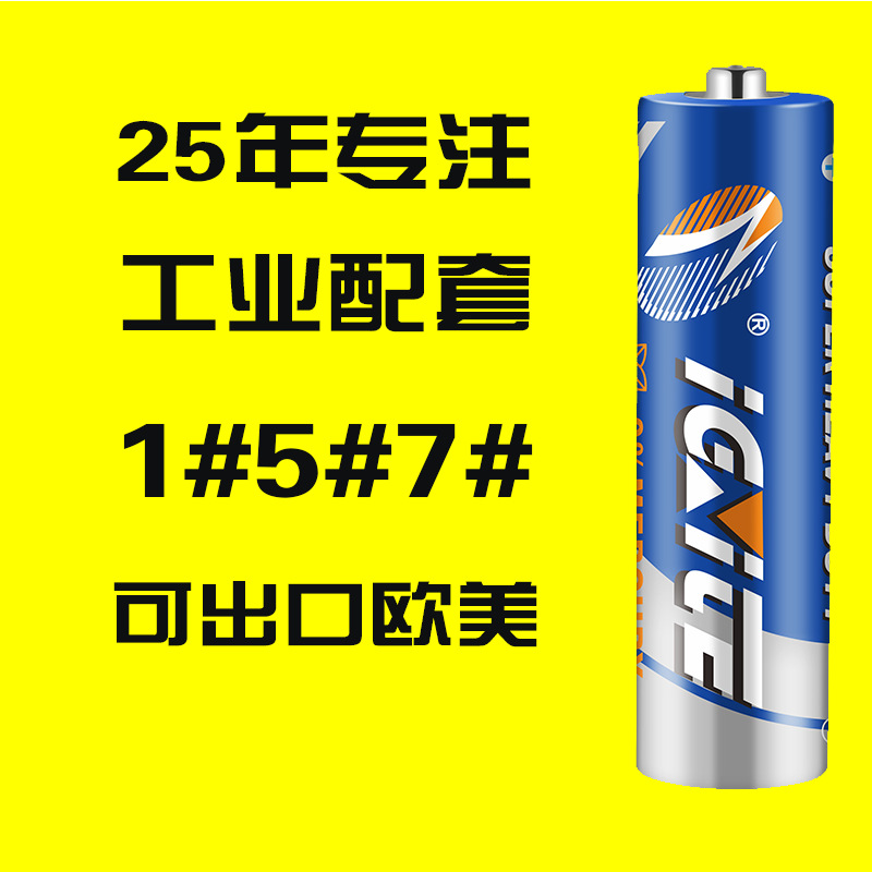 定制aa5号碱性电池 遥控飞机遥控器玩具无线鼠标报警器额温枪