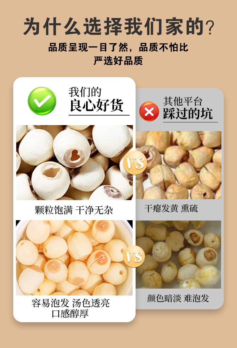 Lotus Seed (Nelumbo nucifera) — Hunan White Lotus Seeds, Core-Removed, Sulfur-Free, 500g specifications