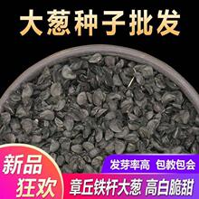 ����ɽ�|������[�N�Ӹ߮a�F�U�߲����ӷN���ļ��[�N���ش����[��