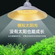 ֲ���a���ȫ���V���Ҳ�ݮ�߲˷��Ѽt�{�������������ֲ�����L��