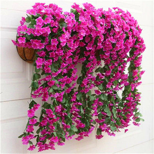 �������_�m�ڒ���m������ٻ����ϻ����������ٗl�̨��c�b�