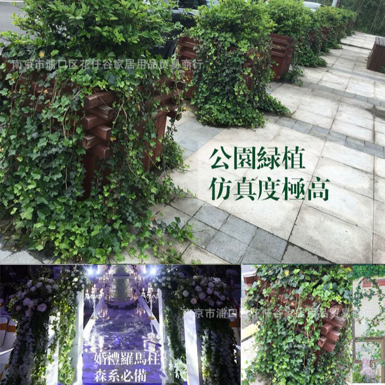 Совокупность Ivy imitation plant green leaf vine creative indoor wall hanging decoration simulation plant sweet potato vine