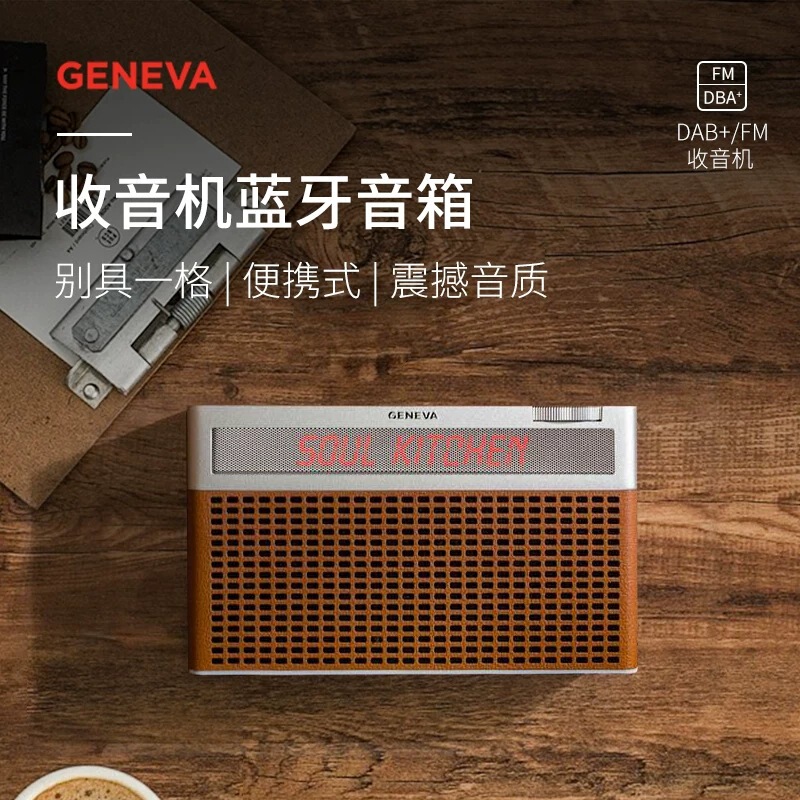 GENEVA Voice of Geneva Touring/S+ Portable Bluetooth Speaker FM Radio