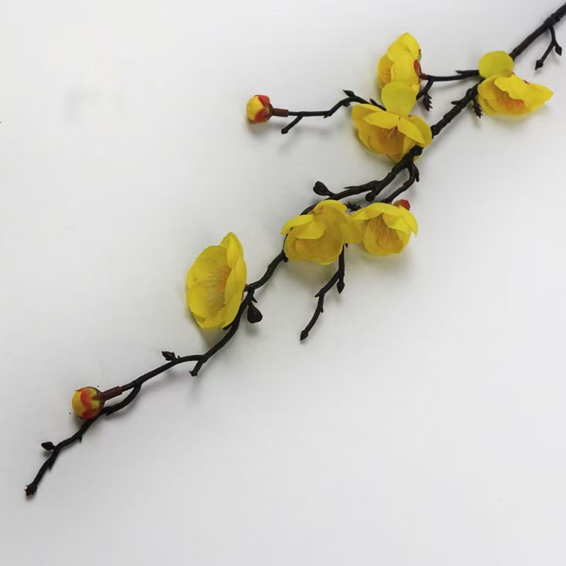 루이 매화 노란색