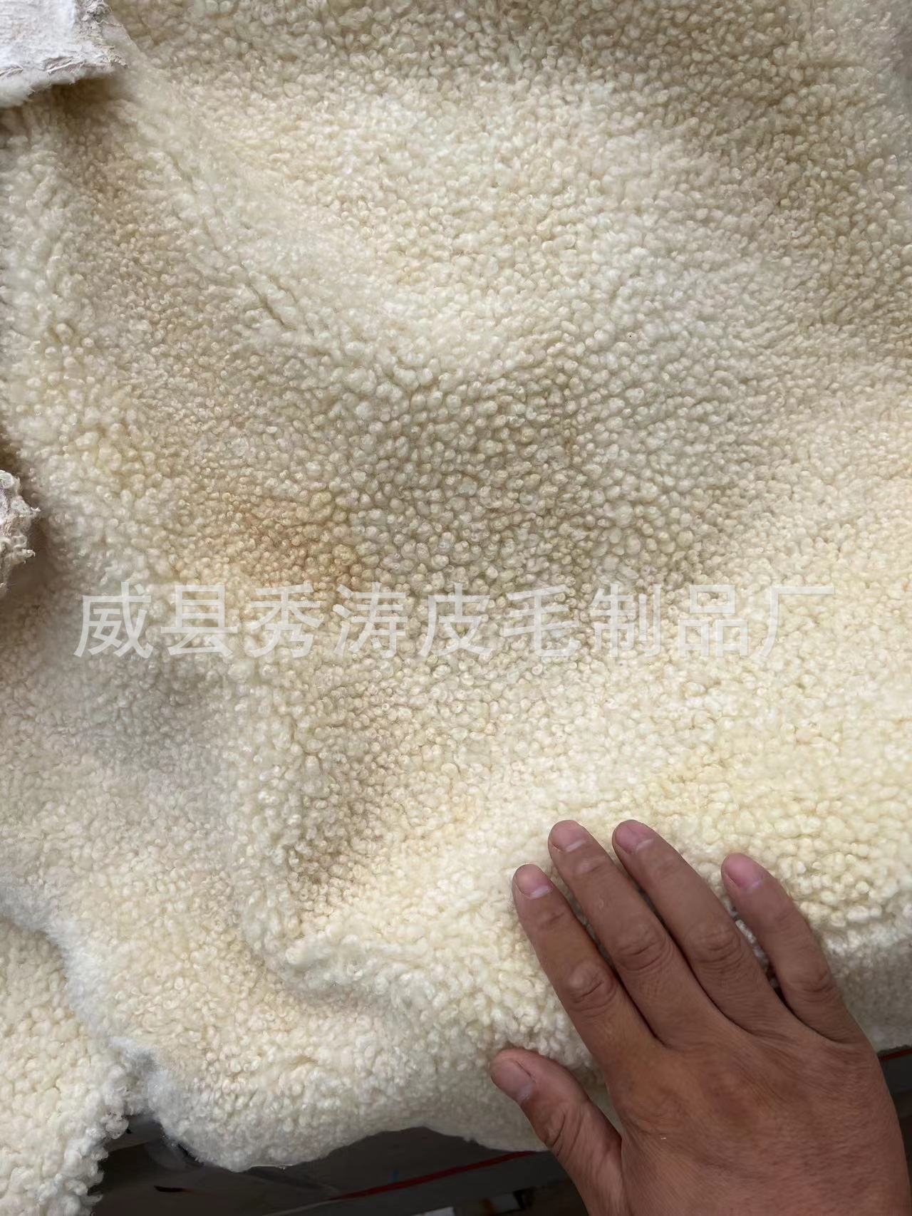 微信图片_20240902121436