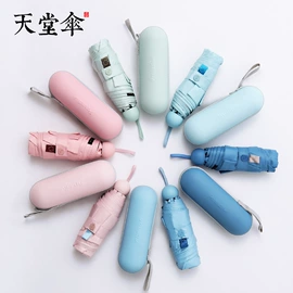 晴雨伞;广告伞;连体雨衣/披