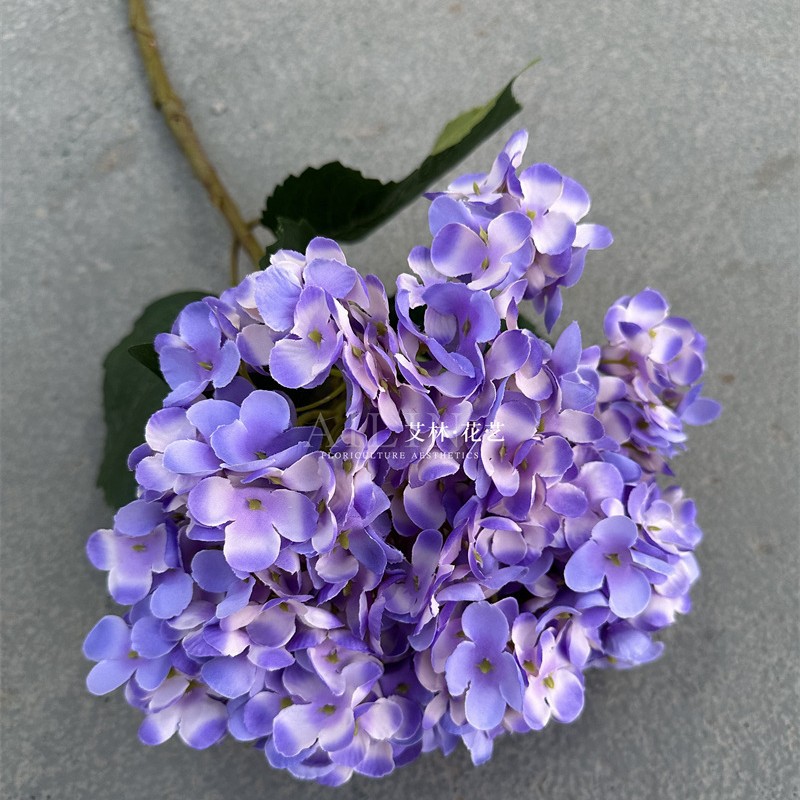 지름 30cm 군주 수국 라이트 퍼플