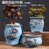 3 popular flower pots