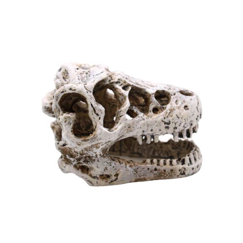 Aquarium fish tank ornaments, water plants and landscaping, dinosaurs, resin skull reptiles, bearded dragons and landscaping/decoration