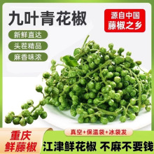 青花椒新鲜350g重庆江津鲜藤椒四川特产现摘保鲜麻椒冷冻新鲜花椒