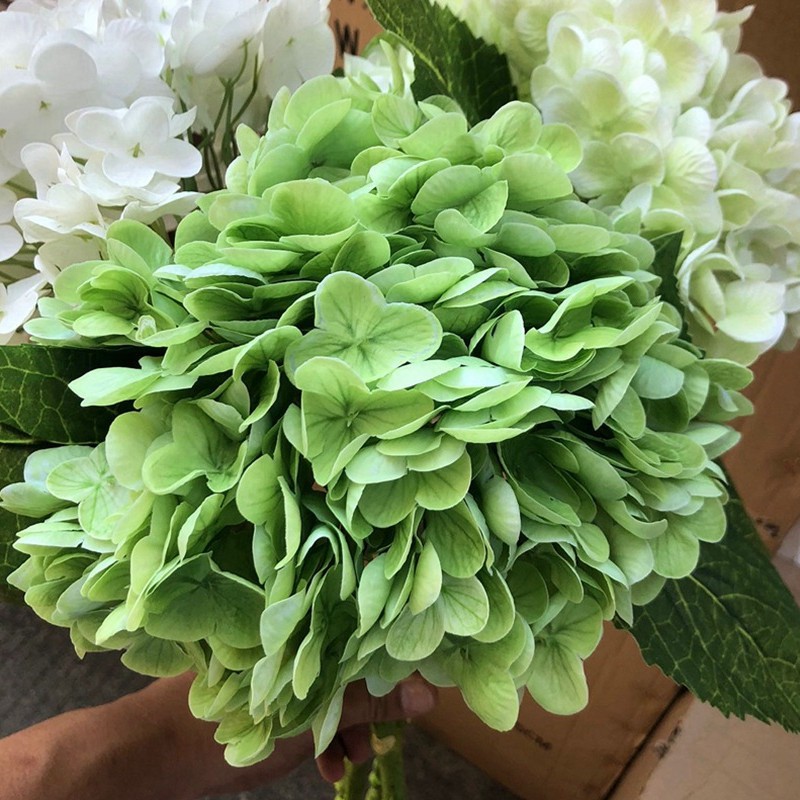 Vert foncé
