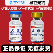 ����Ȯ����Ȯ���猙��؈�乷������Ȯ��Ȯ������������׌��A���