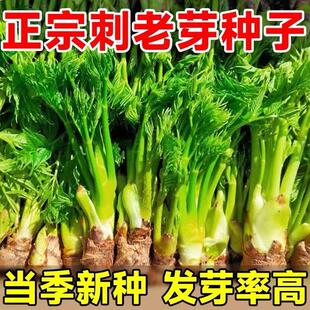 ����ѿ�˷N�Ӗ|���������N�Ӵ���ѿɽ�˴���ѿ�N����ɫ�߲���