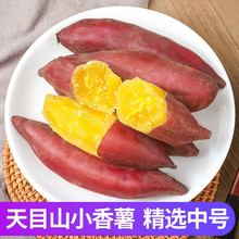 �����t�����r�R����ĿɽС����С�����ع�����С�t�����������]