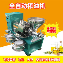 大型食用油热榨机 自动上料橄榄油冷榨机 花生螺旋榨油机