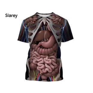 �����w���ٹǈD����T�r����3D����ӡˢ��T�r�����ļ��������e����