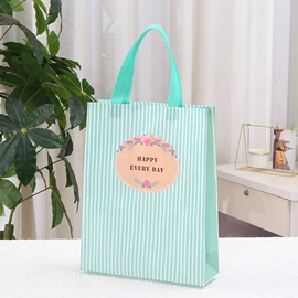 无纺布袋;收纳袋收纳包;家用购物袋