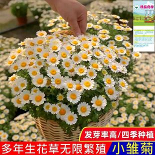 СrջNļN_׻҃⻨ֲͥԺջN