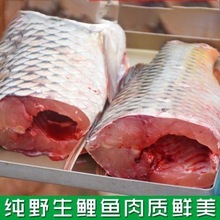 新鮮凈膛鯉魚江西特產鮮活現殺淡水產魚有機魚段燒烤水煮魚獨立站