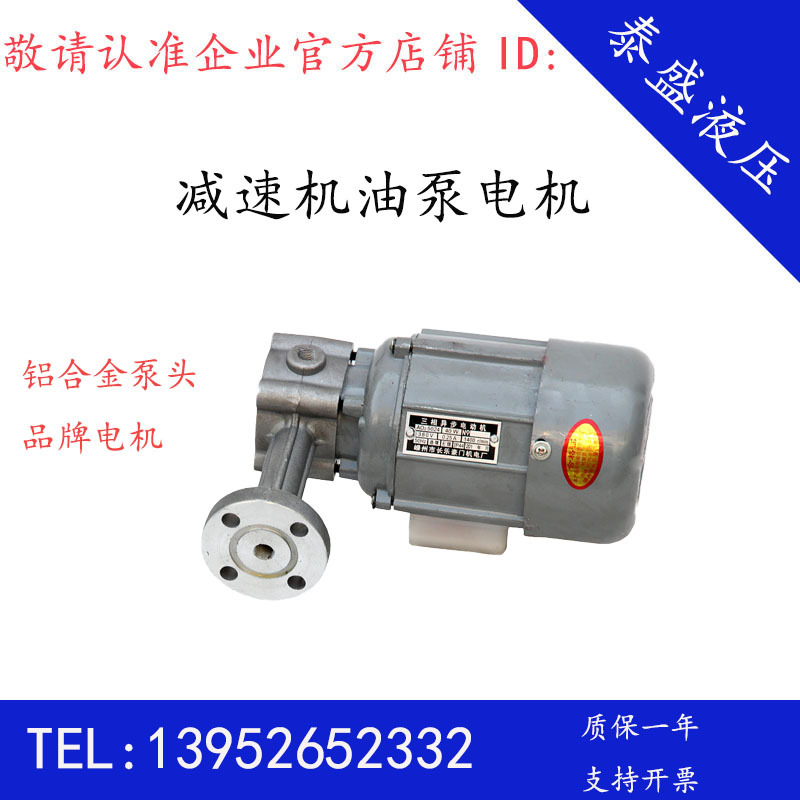 摆线针轮减速机润滑ZCB转子式油泵电机40W防爆ZCB/CB-1.2/1.4/0.8