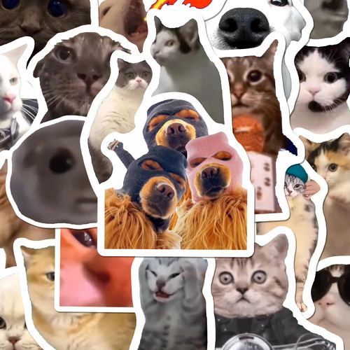 202 Cat Meme Sticker Creative Funny Cute Pet Instagram Style Handwritten Notebook Phone Case Sticker Waterproof