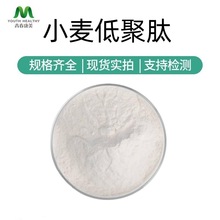 小麦低聚肽粉 食品级小麦肽小麦低聚肽 小麦提取物小麦蛋白肽现货