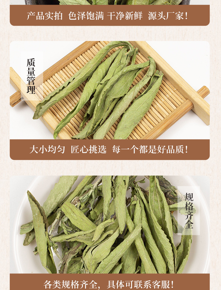 Stevia Leaf Tea Tian Ju Ye Sweet Herbal Leaves Natural Dried Loose Leaf 500g specifications
