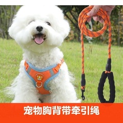 狗狗牵引绳背心式幼犬小型犬胸背带比熊泰迪博美遛狗绳小狗链子