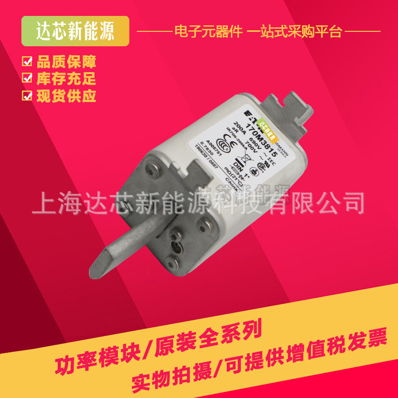 170M3614 170M3615 170M3616 170M3617 170M3618全新巴斯曼熔断器