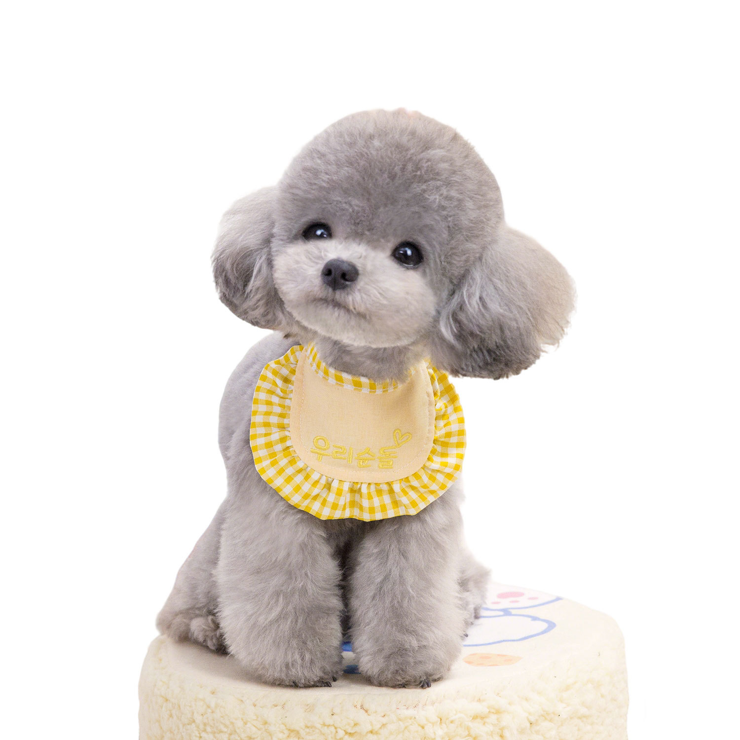 Toalla de saliva para gatos y perros babero para mascotas gatito cachorro lindo babero pequeño babero para perros accesorios de decoración