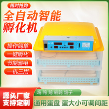 56枚全自动家用微型孵化机鸡鸭鹅孵化器鸡蛋孵化器高孵化率包邮