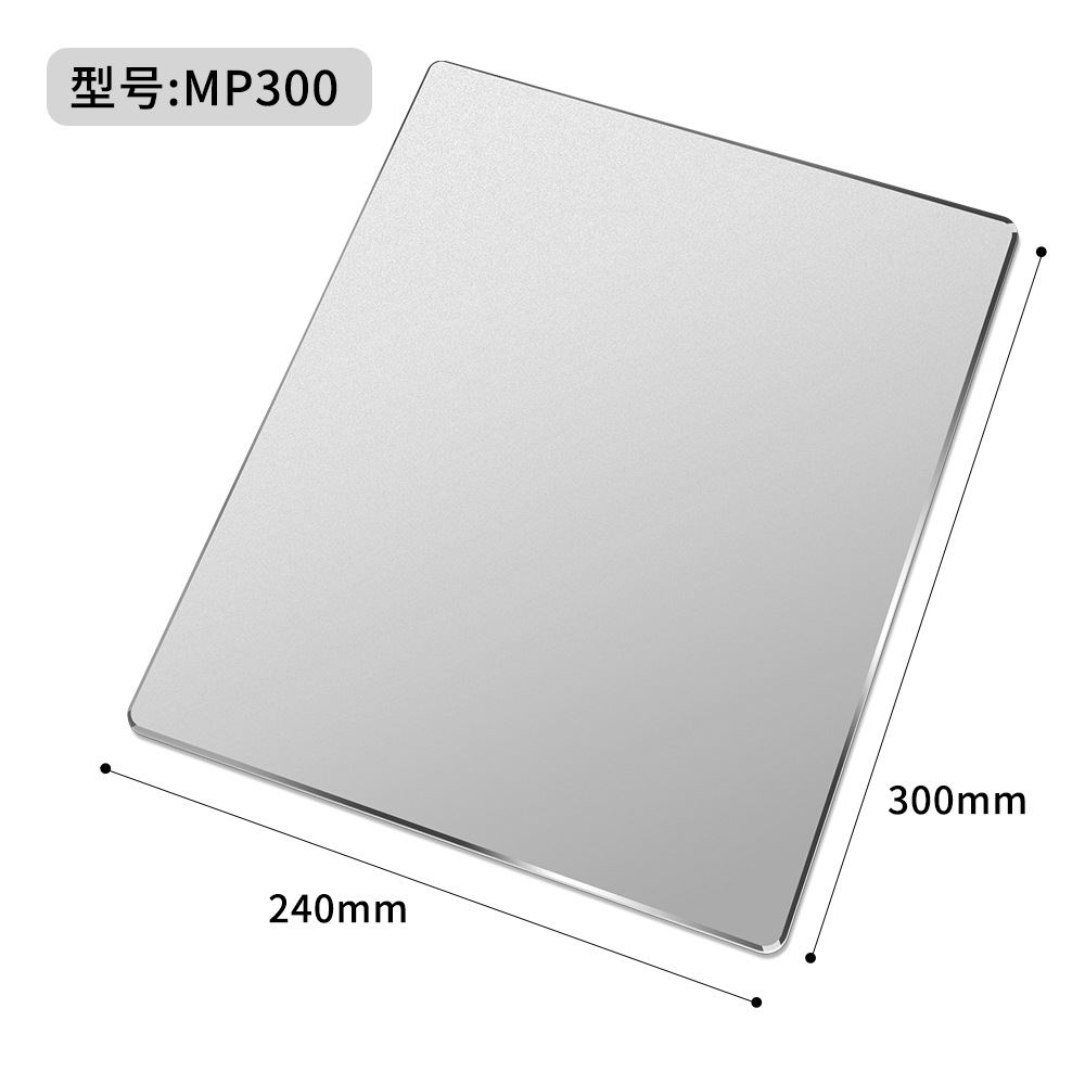 Silver-MP300