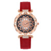 Swiss watch, brand women's watch, fashionable quartz watches, internet celebrity, Birthday gift