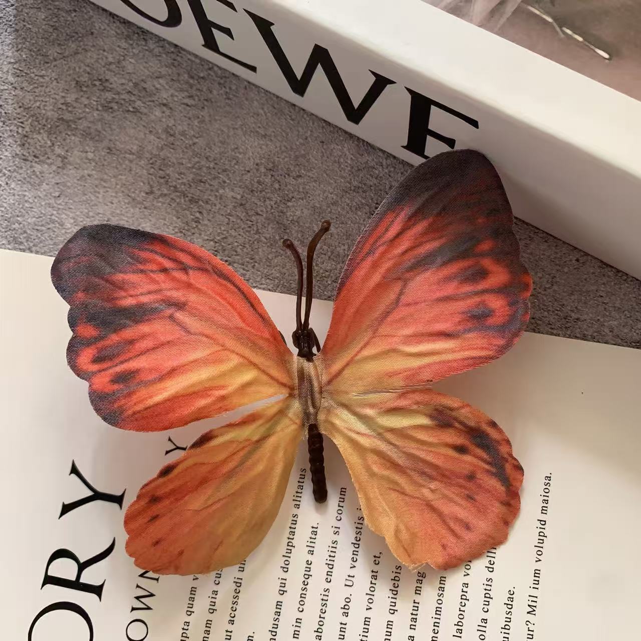 검정 국화 노랑