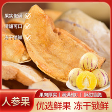 产地货源云南特产批发新货冻干锁鲜人参果干一斤一袋量大从优