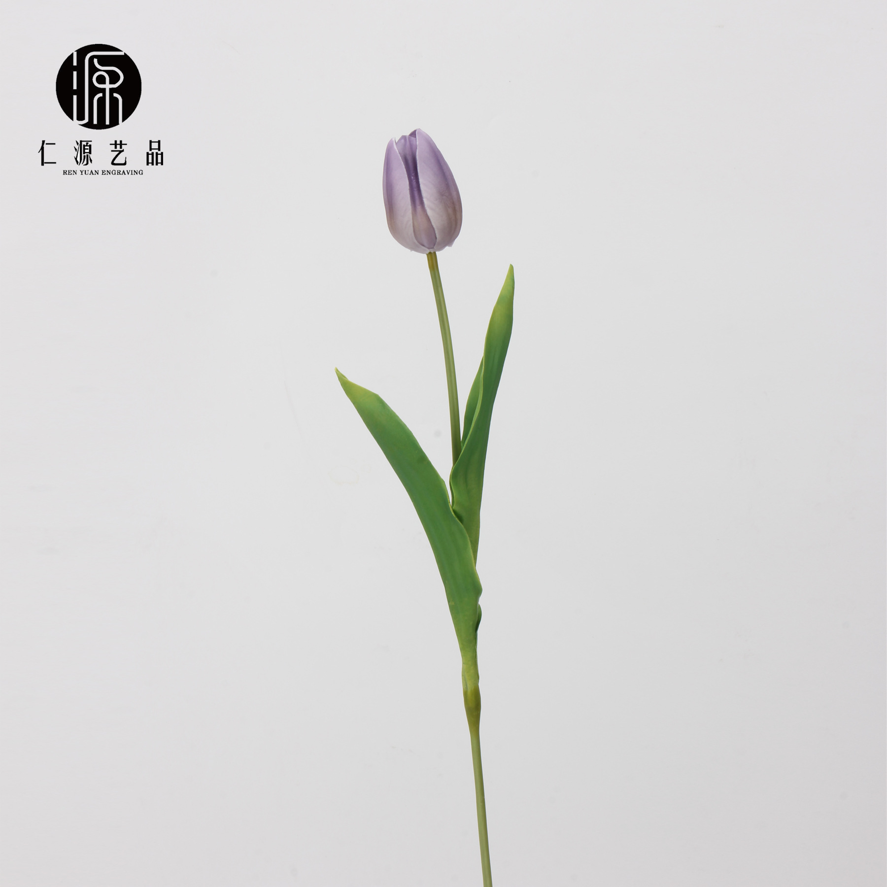밝은 보라색