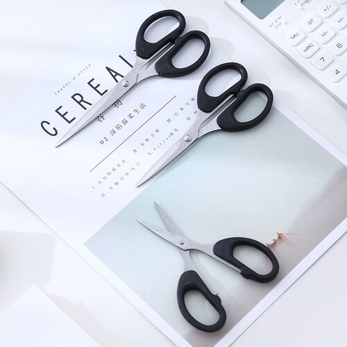Small Scissors for Cutting Thread, Durable, Stainless Steel, Student Craft Supplies, Pointed Tip, Office and Home Use