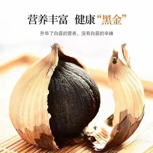 3.5-4.0cm���^����250g500gƿ�b���ڿ��ṩLOGO�����F؛�r�񌍻�