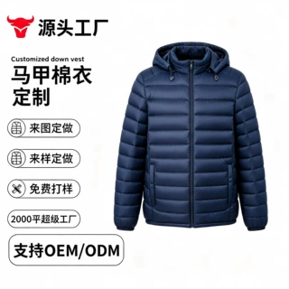 秋冬中老年轻薄内胆棉服男 高立领弧形波浪衍缝拉链收口袖通勤长