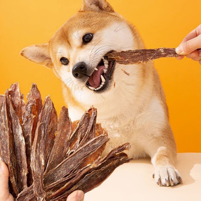 O1CN01HDE2Bq2GR5ugSIZJ0_!!2215