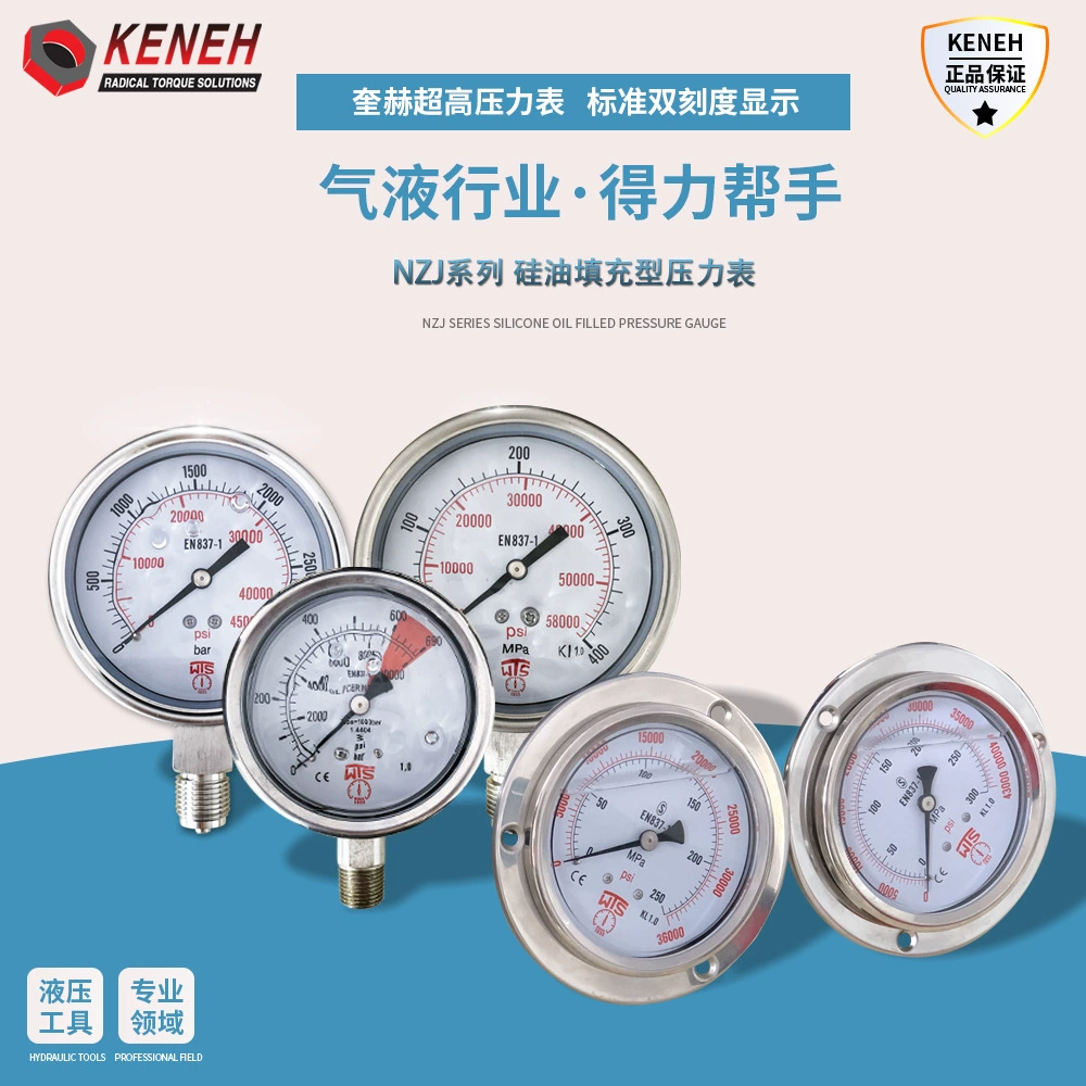 Производитель поставляет радиальный манометр Wanxing манометр из нержавеющей стали 316 манометр из нержавеющей стали манометр