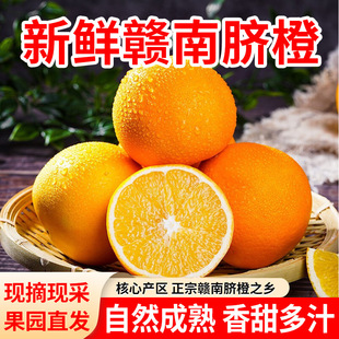 ����S���ҡ������M��Ě�����r�Fժ�������Ӯ����ЋDˮ���������l