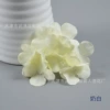 [奶白]