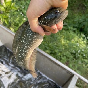 �����~#ɽ���~#�����~#�����~#���~#�t���k