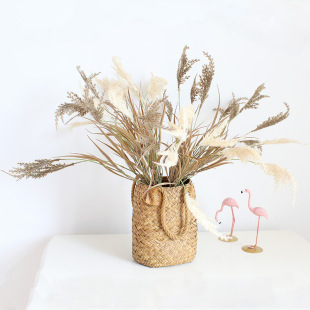 ������β�Ͳ��JȔ��ֲ�q����ֲ����滨�ٻ����ϻ��[���������l