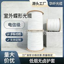 厂家国标电信级室内室外自承式蝶形单模皮线光缆1芯2芯4芯光纤线