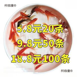 �~ʳ���lС���~�����~���~���~�~�J�װ��]��ˮ�^�p�~�~����������