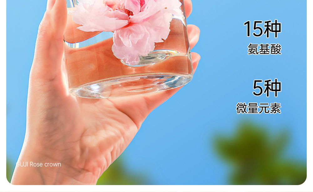 Dried Rose Flower Crown Buds Large Petal Rose Tea for Women Herbal Wellness 35g Box quality and texture