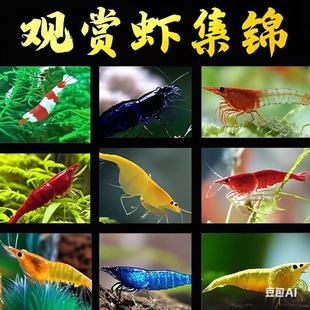 �Ꭷ�^�p�r���w��ˮ����ښ��rˮ���r�ѻ��r�ݸ׳����r�����r���]