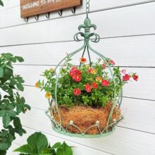 temu�羳�ʹڵ��@�����Fˇ��@���@�b���������m�Ғ�ʽ�����